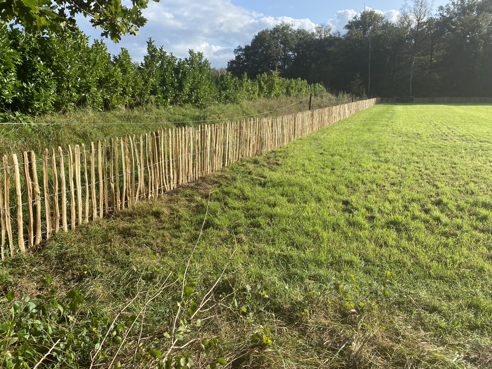 Kastanje hekwerk 100 cm