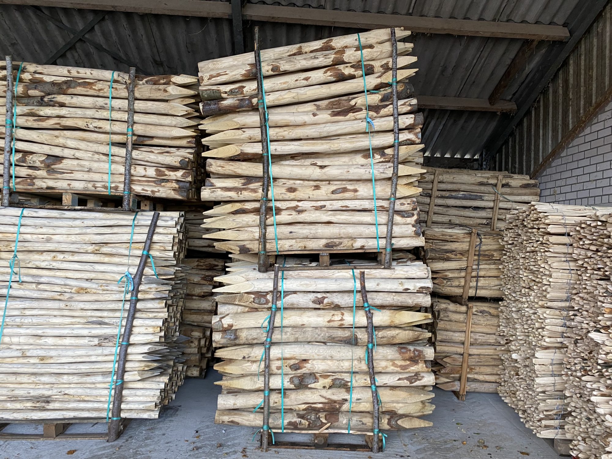 Kastanje paal 10-12 cm