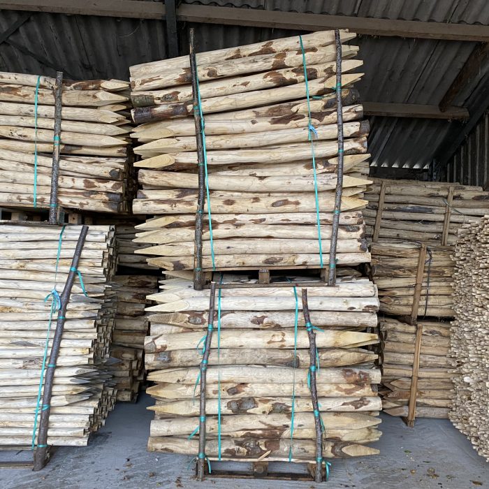 Kastanje paal 10-12 cm