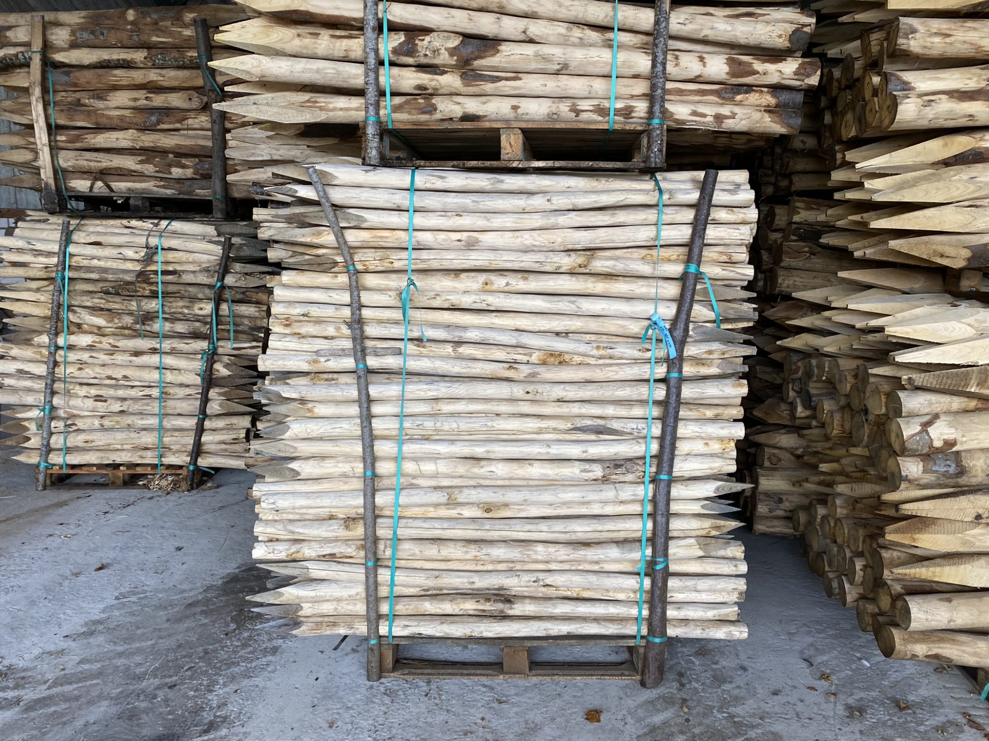 Kastanje paal 6-8 cm