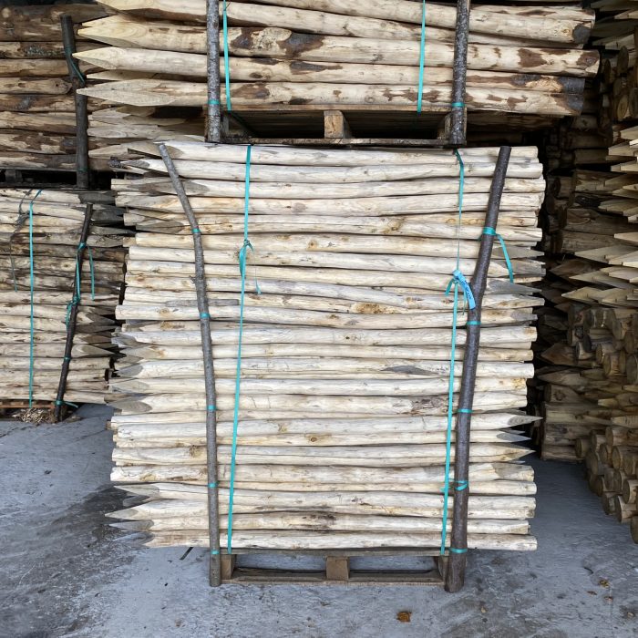 Kastanje paal 6-8 cm