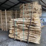 Kastanje paal 8-10 cm