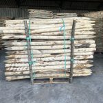 Kastanje paal 8-10 cm