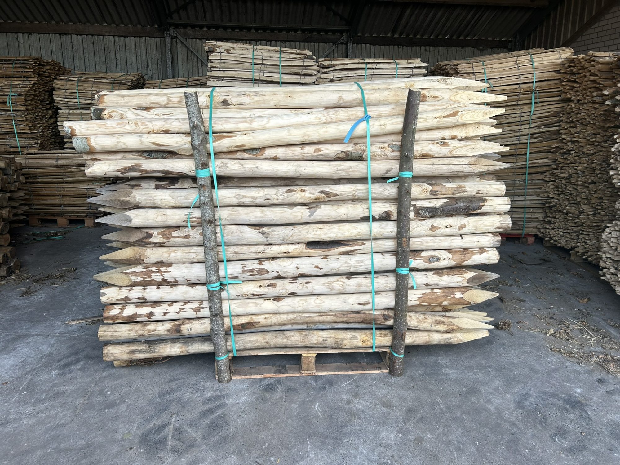 Kastanje paal 8-10 cm