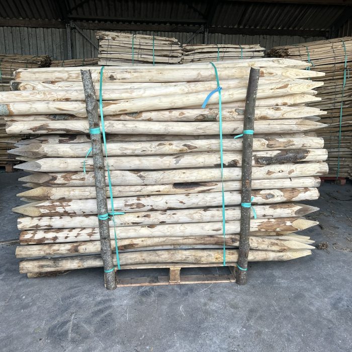 Kastanje paal 8-10 cm