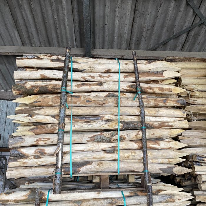 Kastanje paal ø 10-12 cm - 200 cm