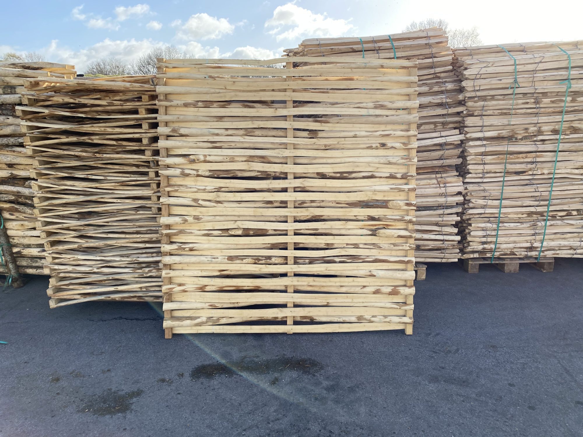 Kastanje vlechtscherm