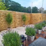 Kastanje vlechtscherm