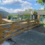 Robinia landhek dubbel