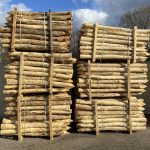 Robinia paal 10-12 cm