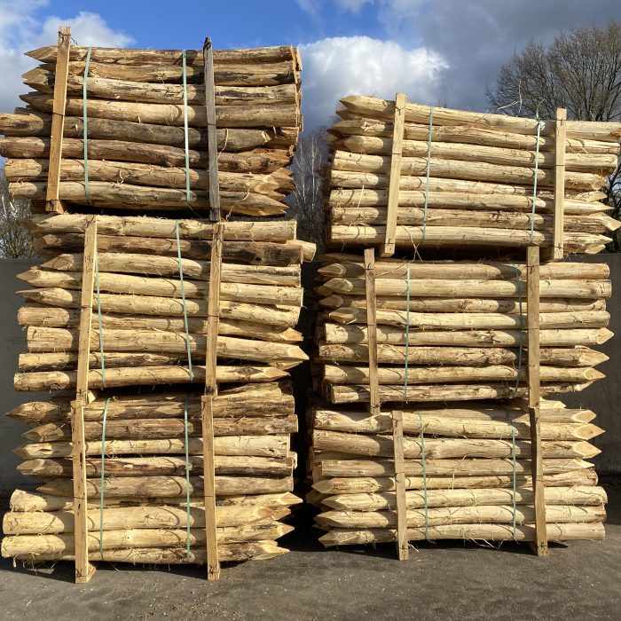 Robinia paal 10-12 cm