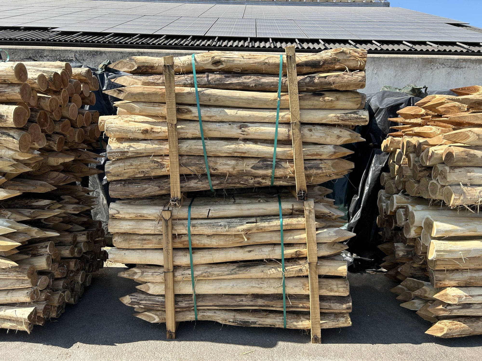 Robinia paal 10-12 cm