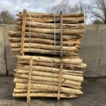 Robinia paal 10-12 cm