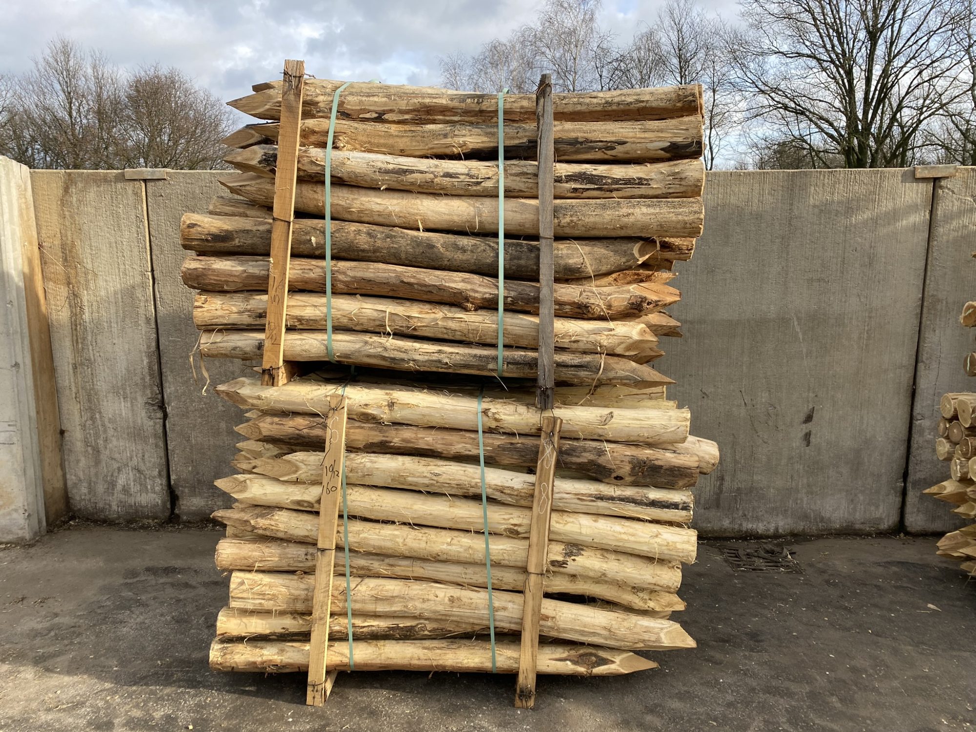 Robinia paal 10-12 cm