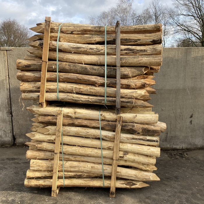 Robinia paal 10-12 cm