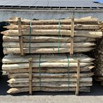 Robinia paal 12-14 cm