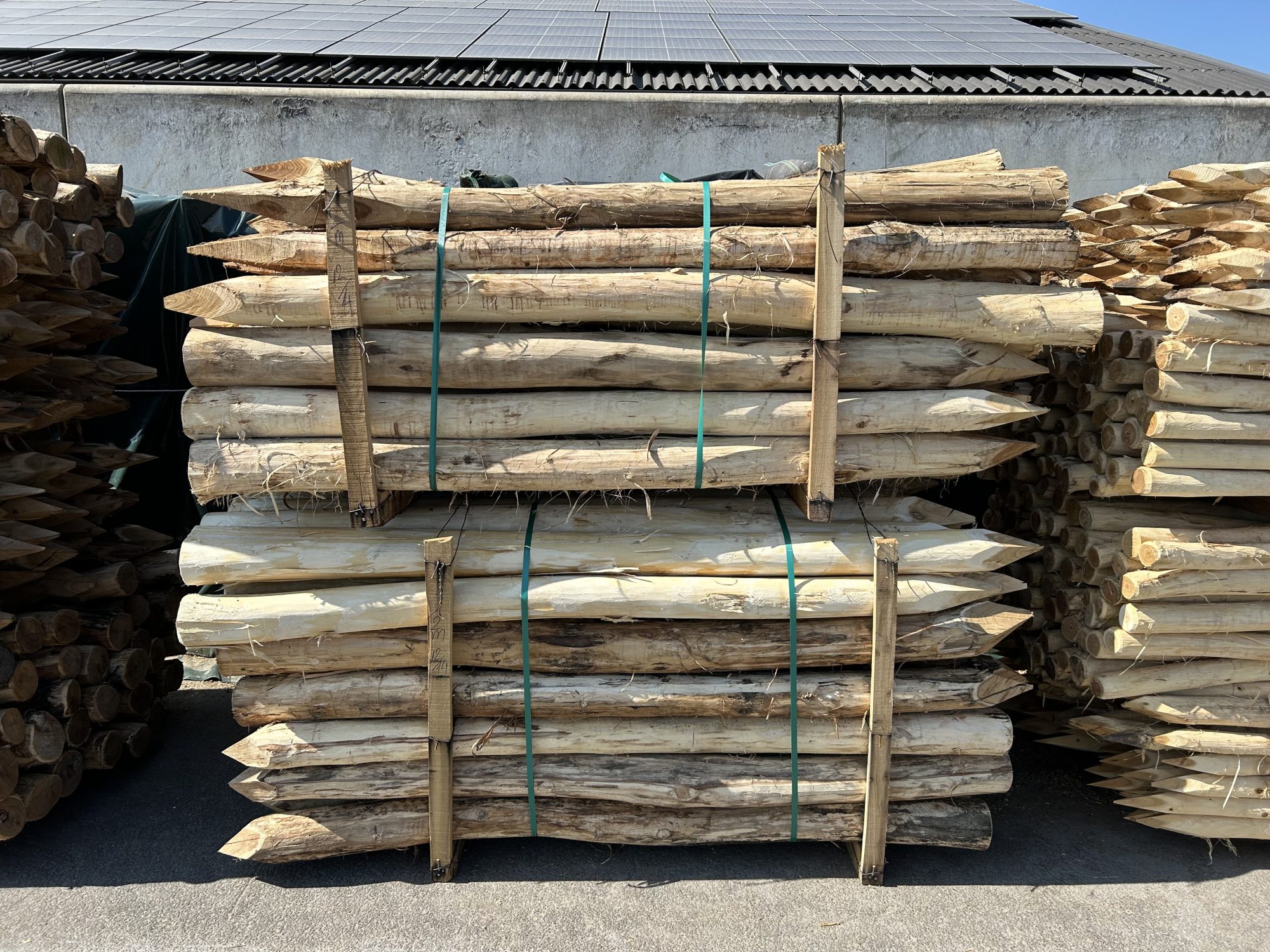 Robinia paal 12-14 cm