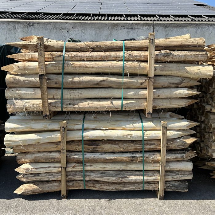 Robinia paal 12-14 cm