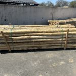 Robinia paal 12-14 cm