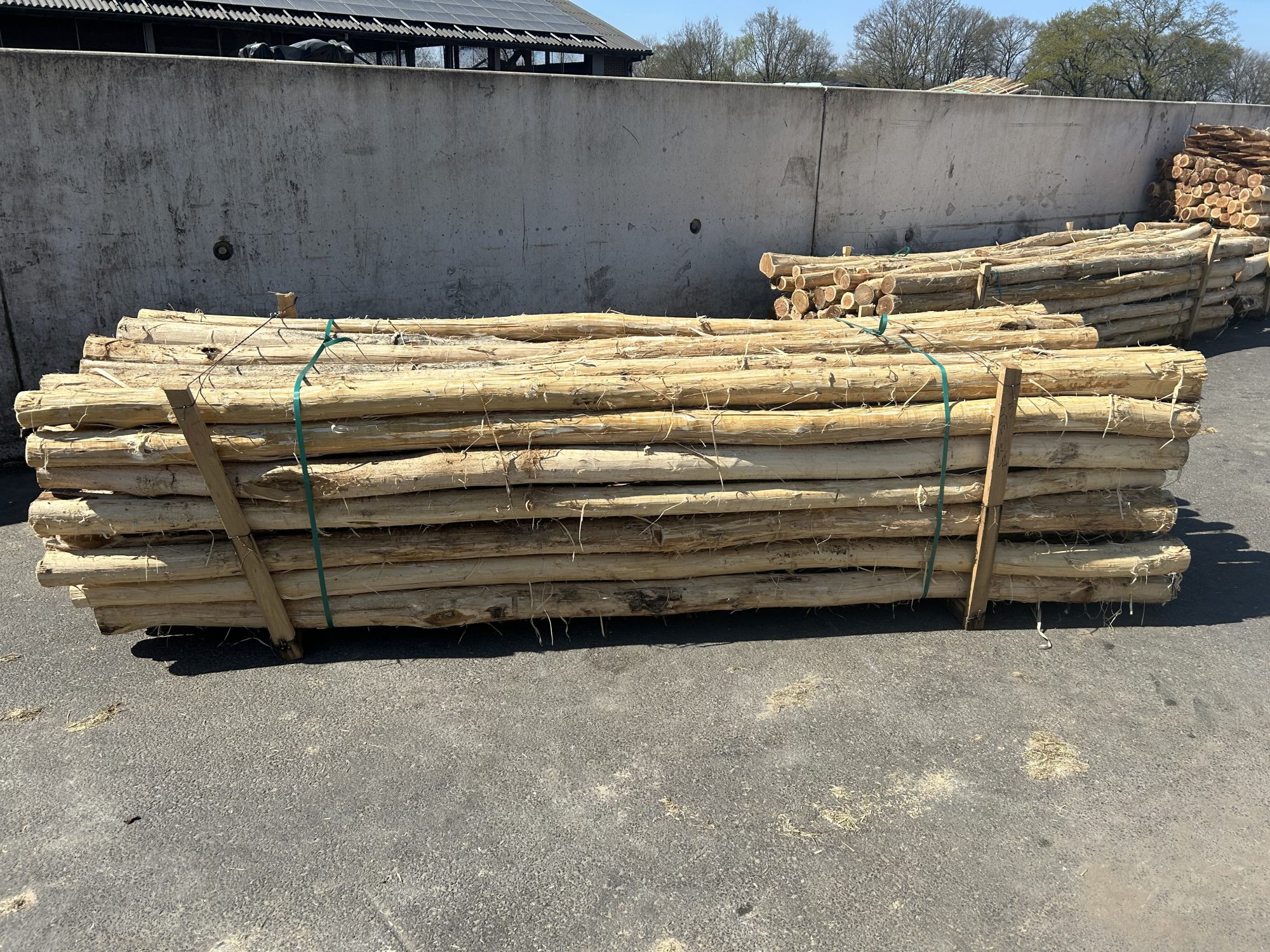 Robinia paal 12-14 cm