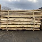 Robinia paal 12-14 cm