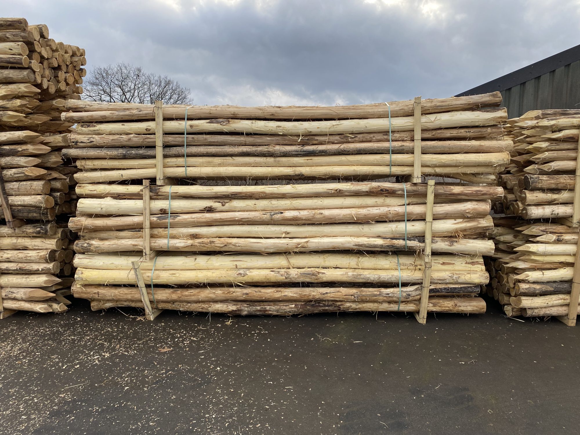 Robinia paal 12-14 cm