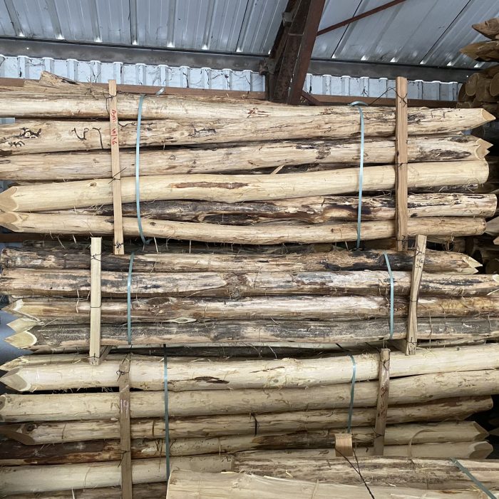 Robinia paal ø 14-16 cm