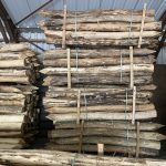 Robinia paal 16-18-1