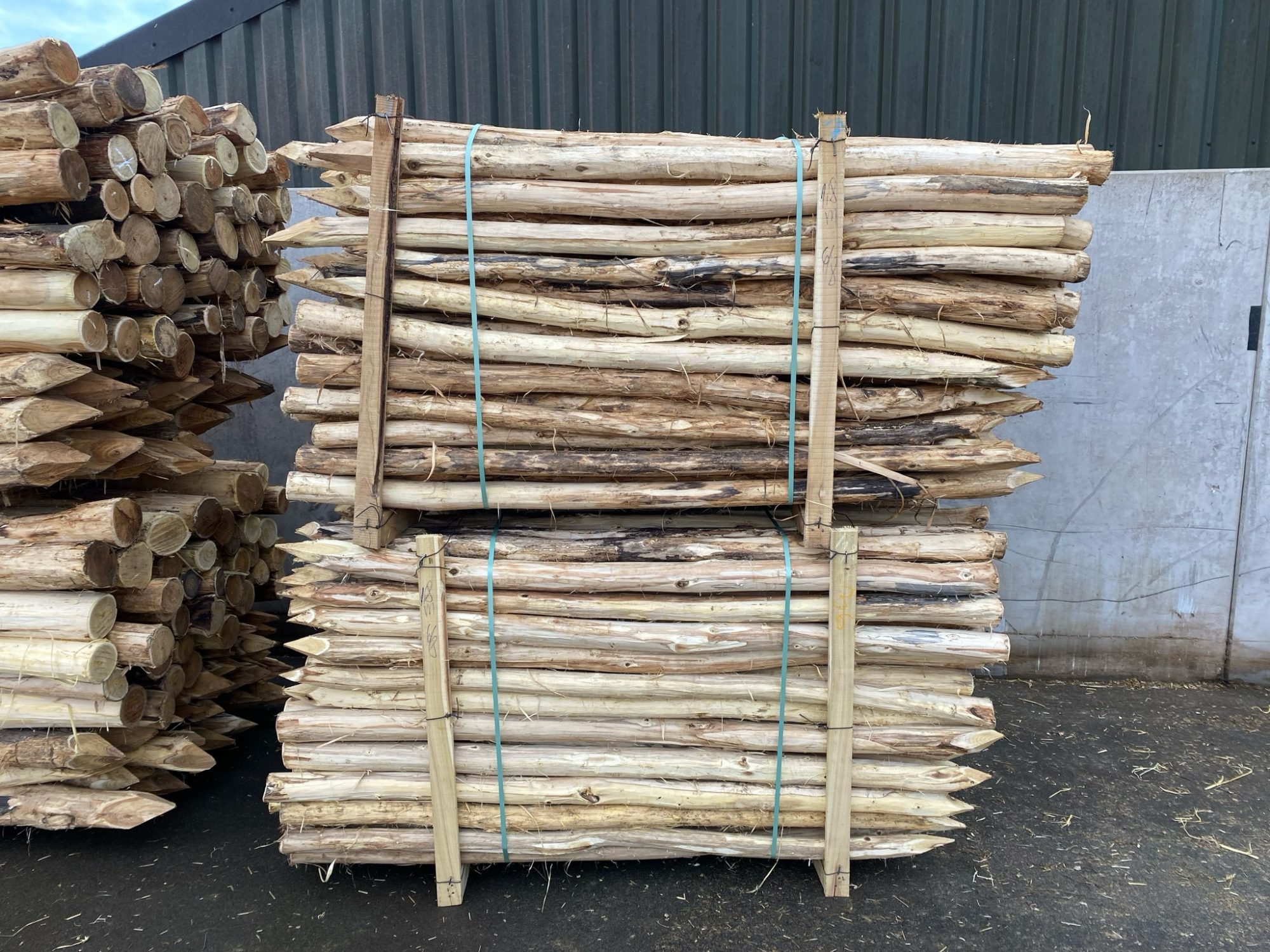 Robinia paal 8-10 cm