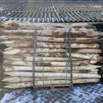 Kastanje paal 10-12 cm