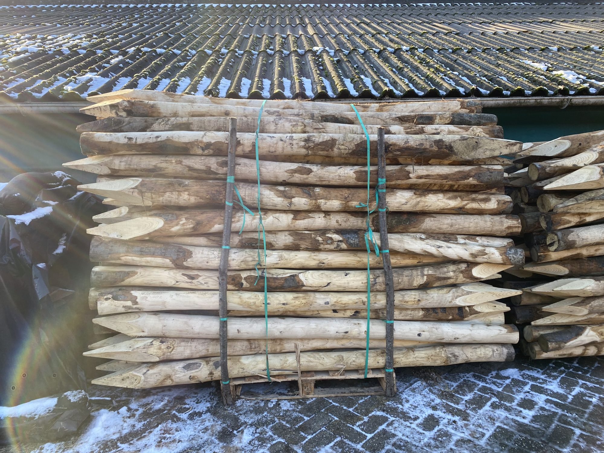 Kastanje paal 10-12 cm