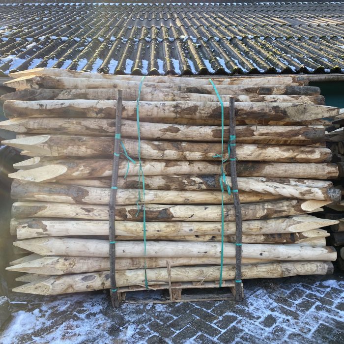 Kastanje paal 10-12 cm