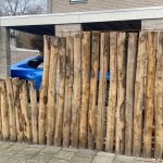 Kastanje paal 12-14 cm