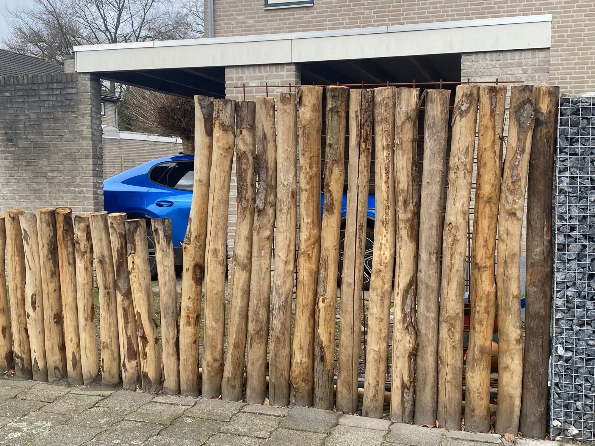 Kastanje paal 12-14 cm