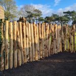 Kastanje paal 12-14 cm