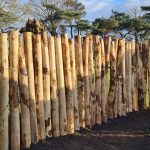 Kastanje paal 12-14 cm