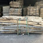 Kastanje paal 8-10 cm