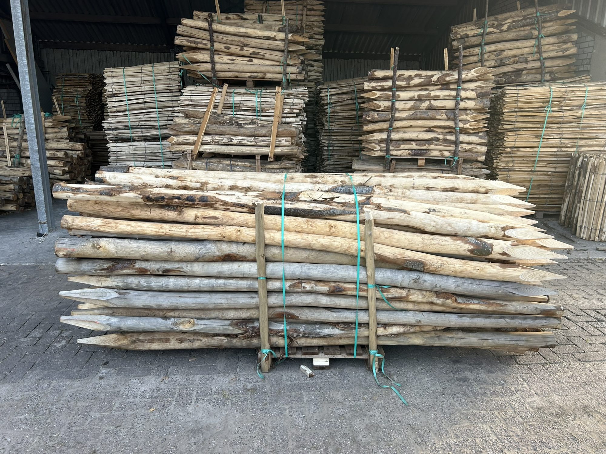 Kastanje paal 8-10 cm