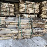 Kastanje paal 16-18 cm