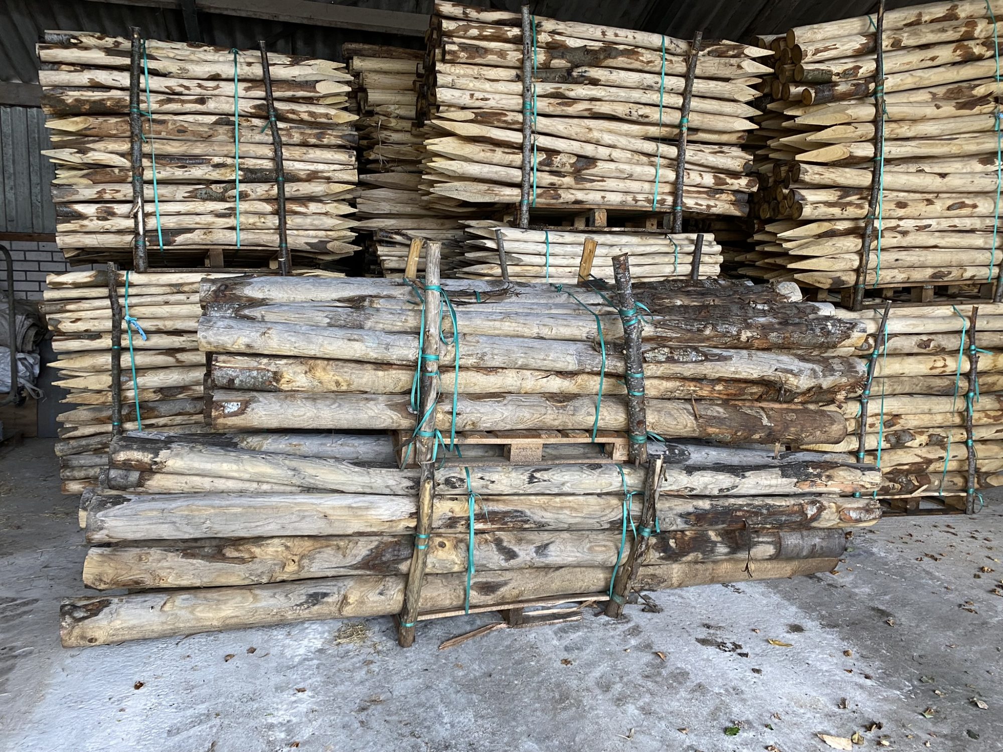 Kastanje paal 16-18 cm