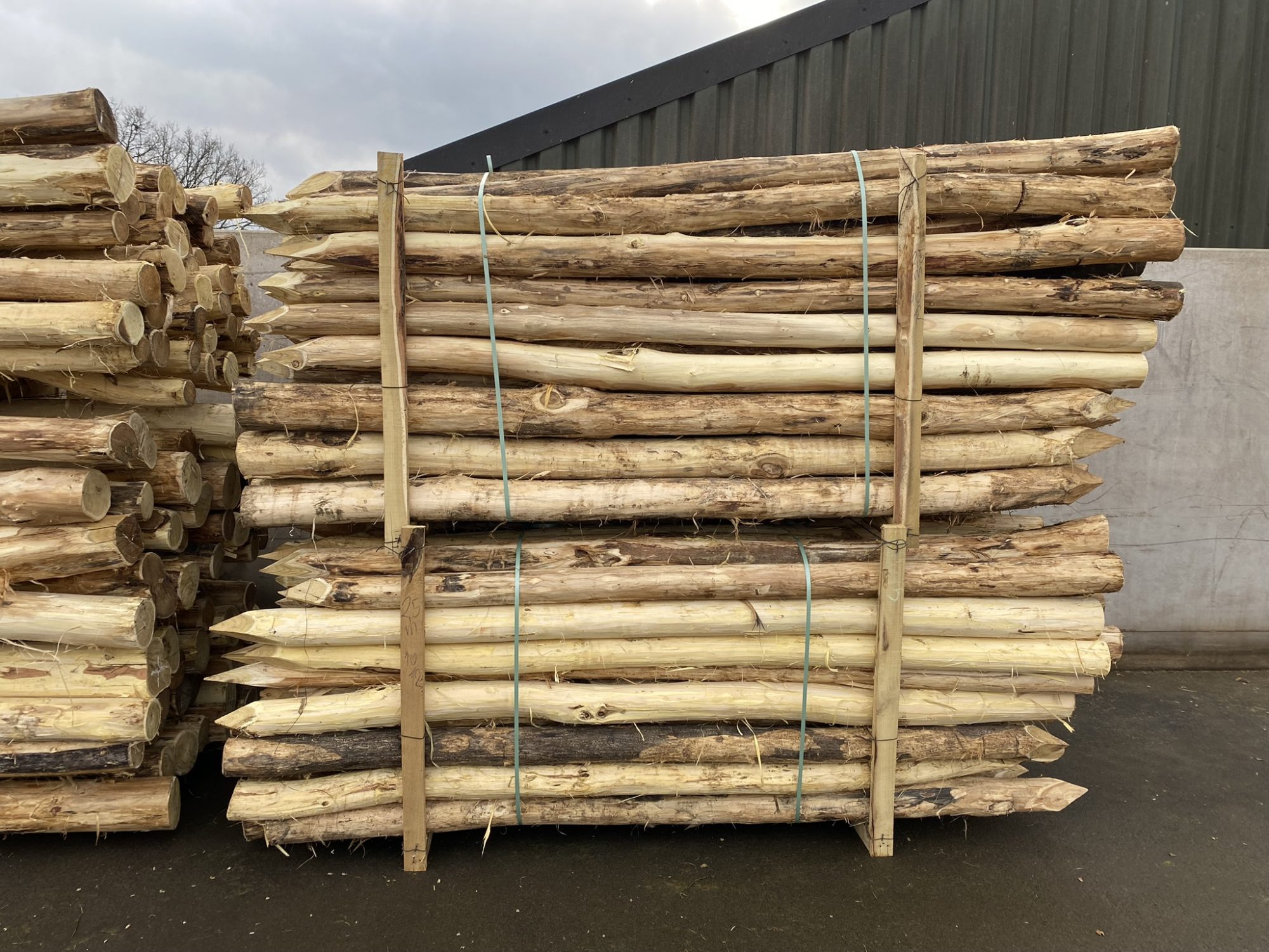 Robinia paal 10-12 cm