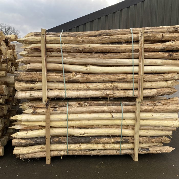 Robinia paal 10-12 cm