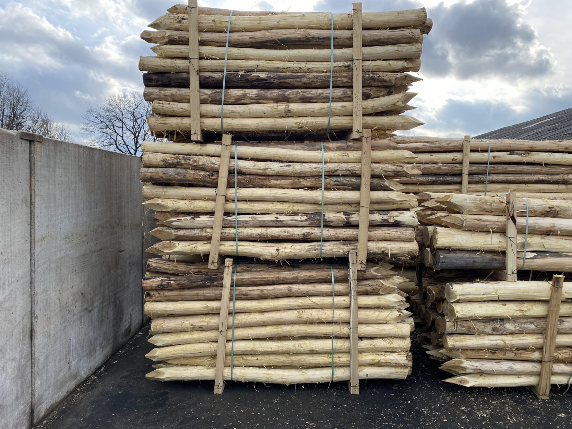 Robinia paal 8-10 cm