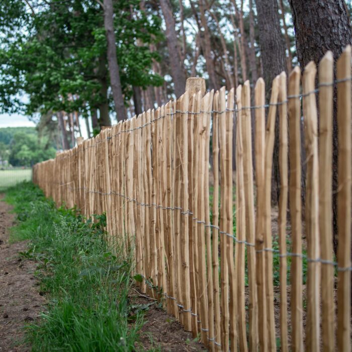 Robinia hekwerk 120 cm hoog